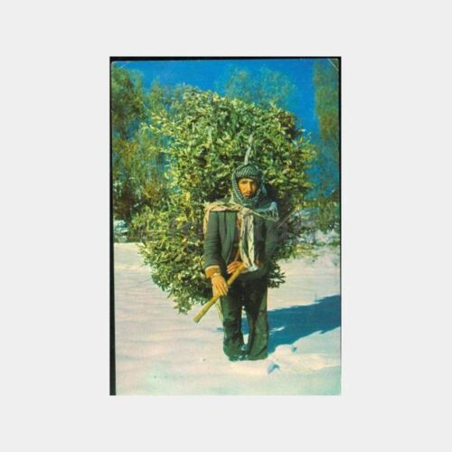 1970 Anadolu Köy Yaşamı Görünüş Kartpostal