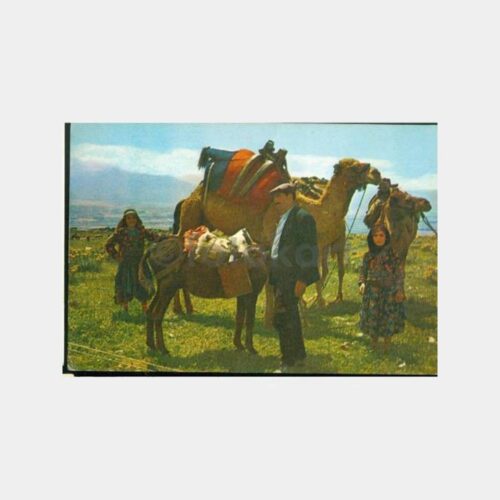 1975 Anadolu Köy Yaşantısı Görünüş Kartpostal