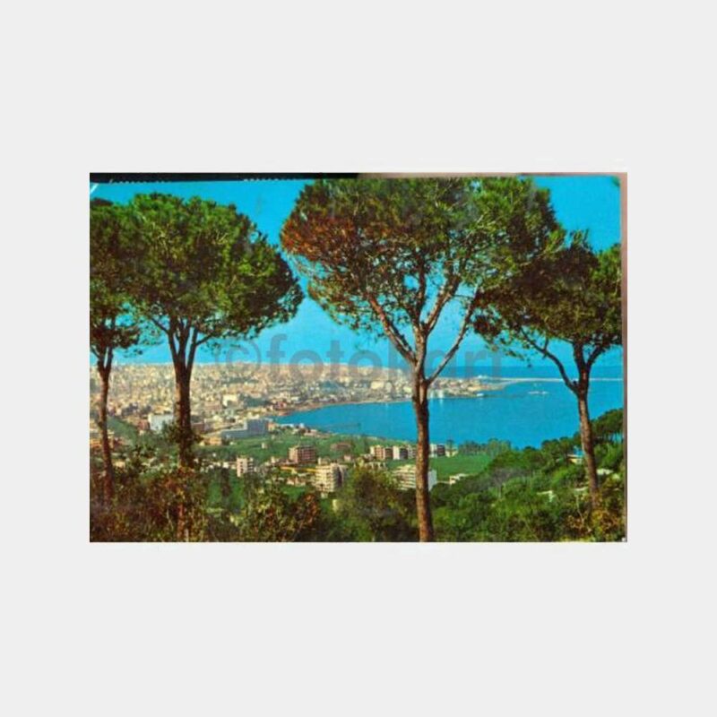 1968 Lübnan Beyrut Damga -Hayvan Pullu- Kartpostal