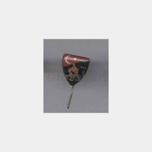 Boks Federasyonu Konulu Rozet