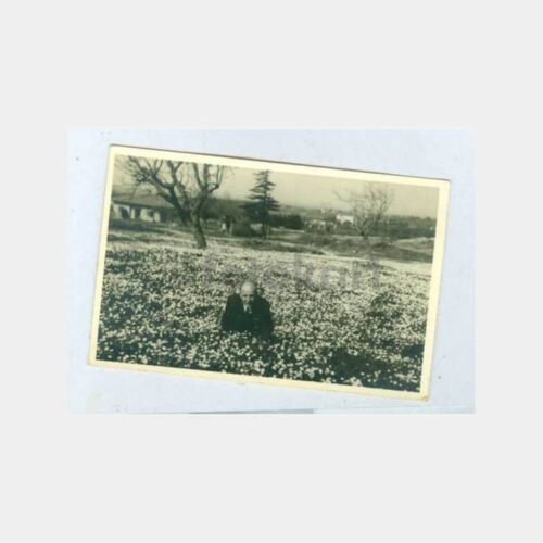 1955 Kadıköy Çamlıca Acıbadem Bay Fotoğraf