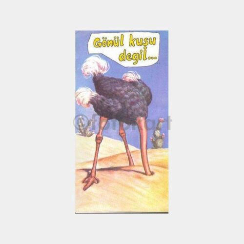 Gönül Kuşu Değil, Deve Kuşu Esprili Kartpostal