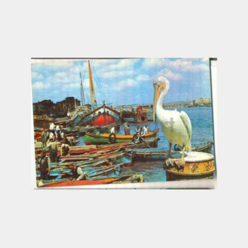 İstanbul Eminönü Pelikanlı Kartpostal