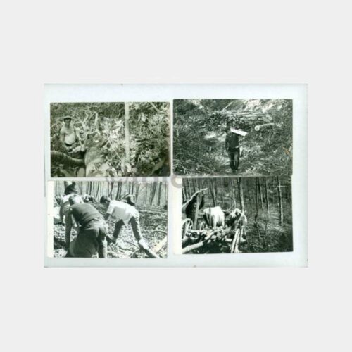 1963 Kırklareli Demirköy Orman İşçi 8 Adet Fotoğraf