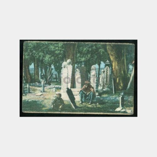 1910 İstanbul Osmanlı Mezarlık Görünüş Kartpostal