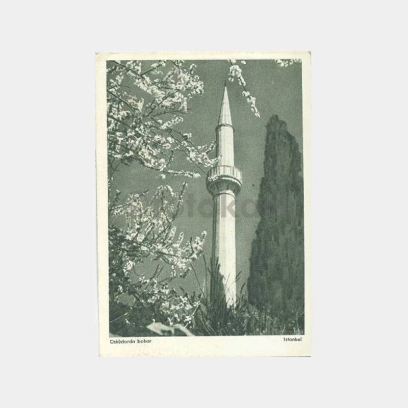 Üsküdar Cami ve Bahar Görünüş Kartpostal