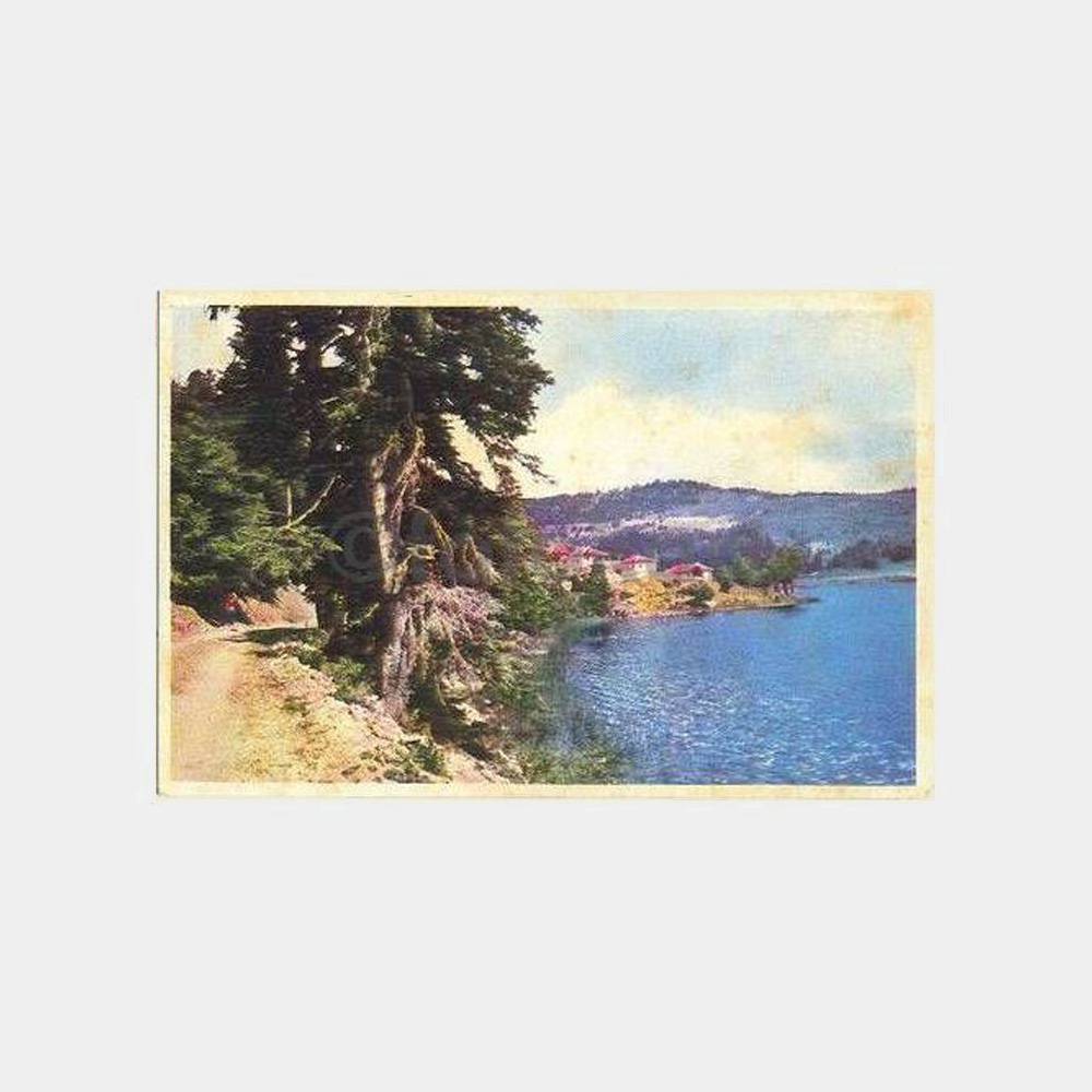 Bolu Abant Bir Görünüş -Doğan Kardeş- Kartpostal