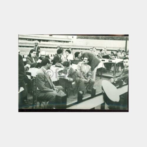 1956 İstanbul Güreş Şampiyonası Fotoğraf