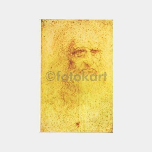 Ünlü Ressam Mimar Leonardo Da Vinci Kartpostal