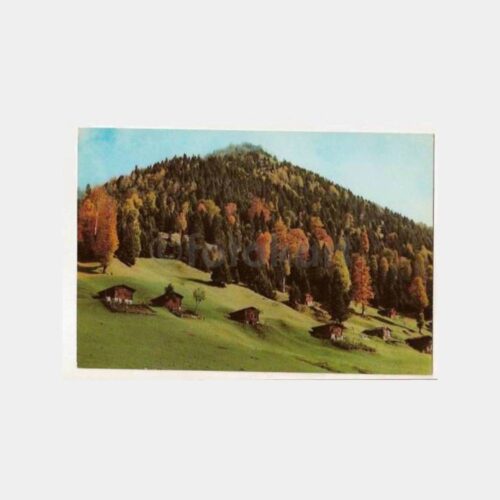 Rize Çamlıhemşin Görünüş Kartpostal
