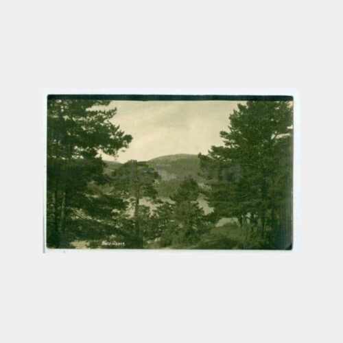 1940 Bolu Abant Gölü Görünüş Kartpostal