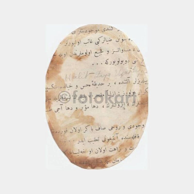 1900 Halit Ziya Uşaklıgil - Edebiyatçı Resim - Görsel 2