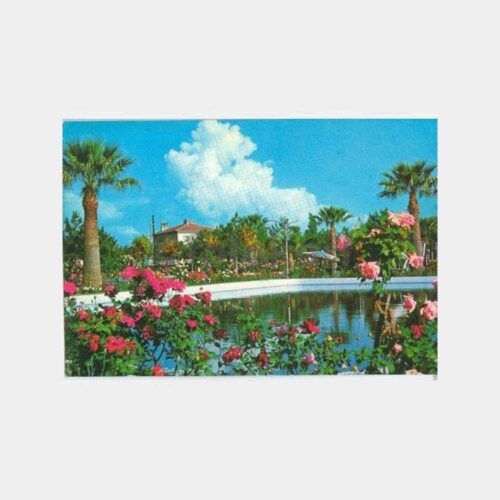 1970 Edremit Parkı Görünüş Kartpostal