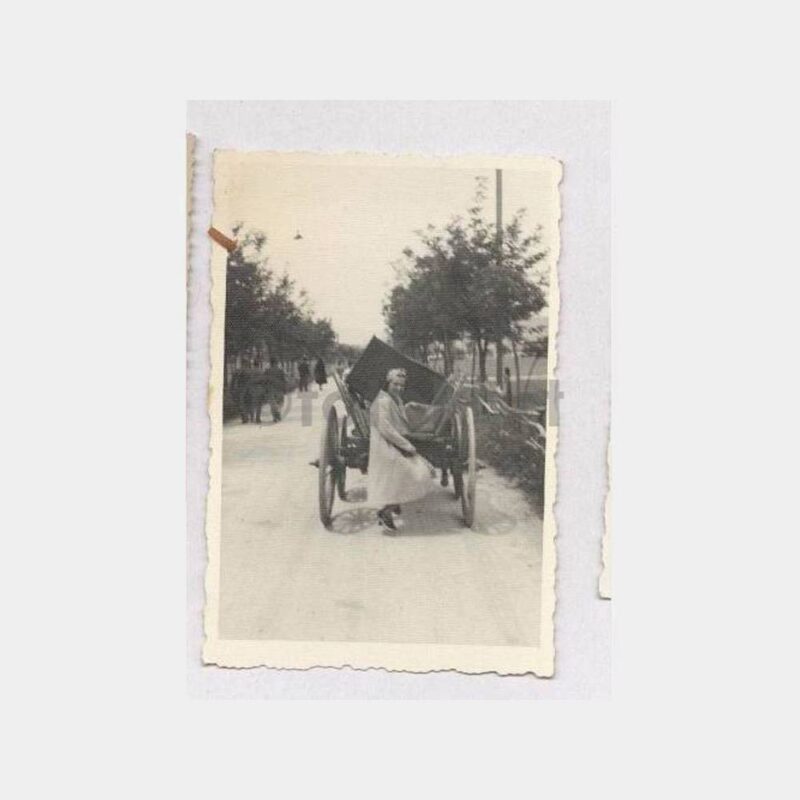 At Arabası Önünde Kadın Görünüş Fotoğraf