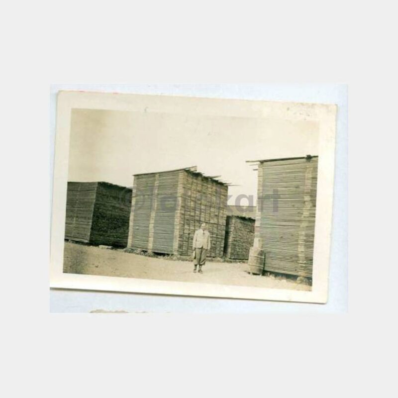 1940 Sinop Ayancık Konulu Fotoğraf
