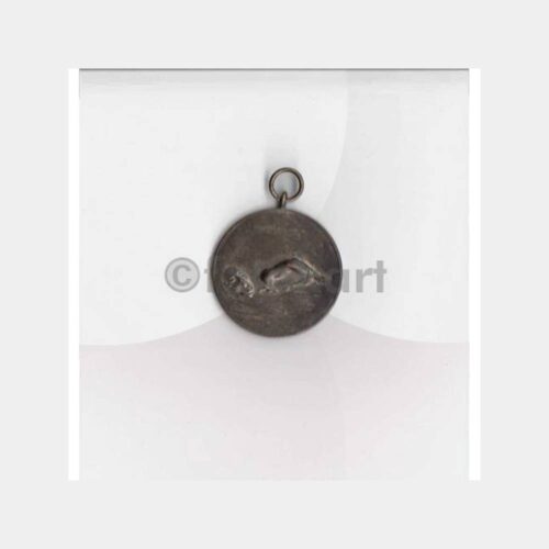 1952 BTGM Yüzme Sporu Madalyası