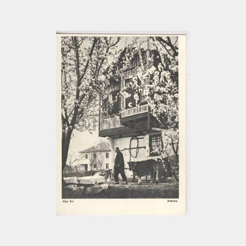 Ankara Köy Evi Konulu Kartpostal