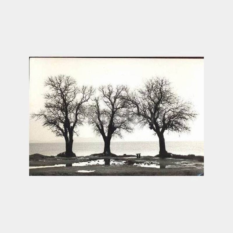 Fenerbahçe Parkı -Yapılmadan Önceki Hali- Fotoğraf