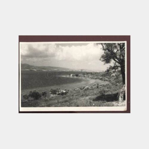 İzmit -Foto Fahri- Gölcük-Karamürsel Fotoğraf