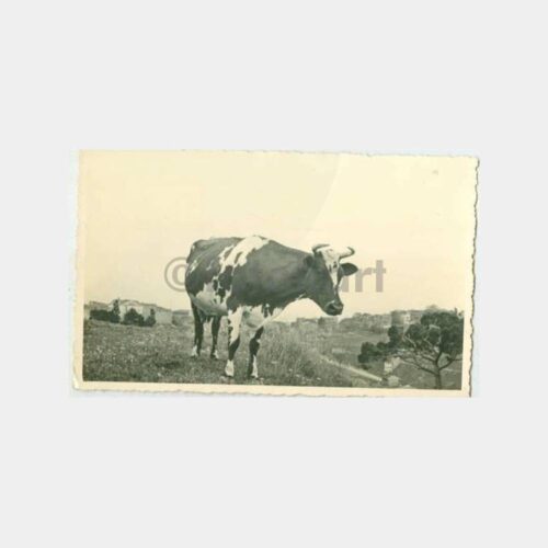 1939 Beylerbeyi Sırtları Görünüş Kartpostal