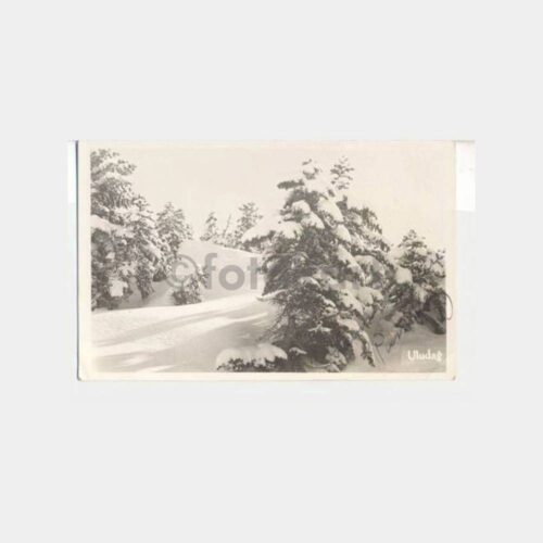 Bursa Uludağ Tabiat Görünüş Eski Fotokart