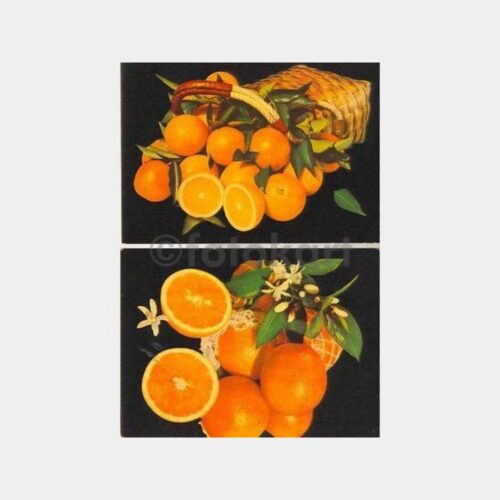 Mersin Meşhur Portakalları 2 Adet Kartpostal