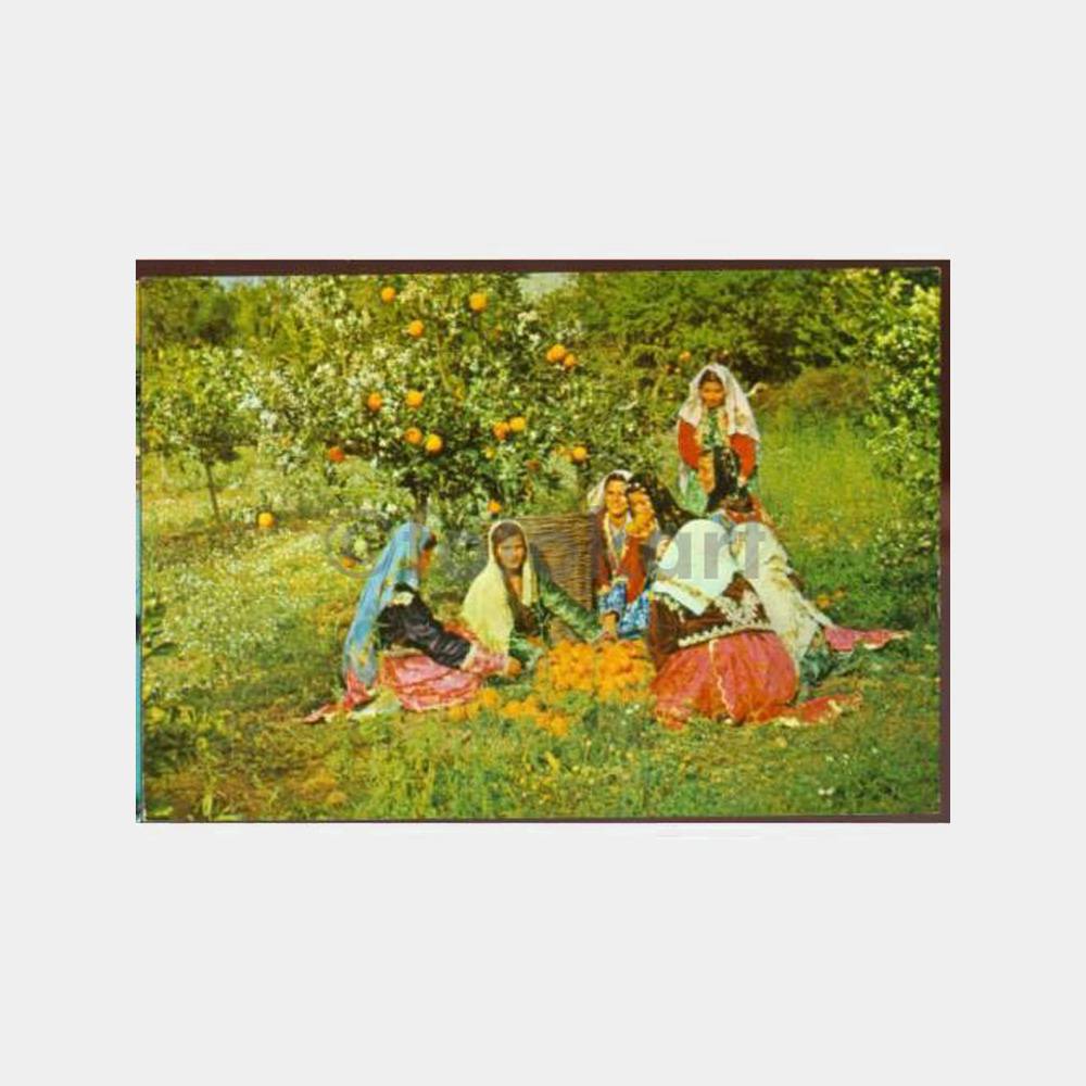 1970 Mersin Portakal Bahçesinde Kızlar Kartpostal