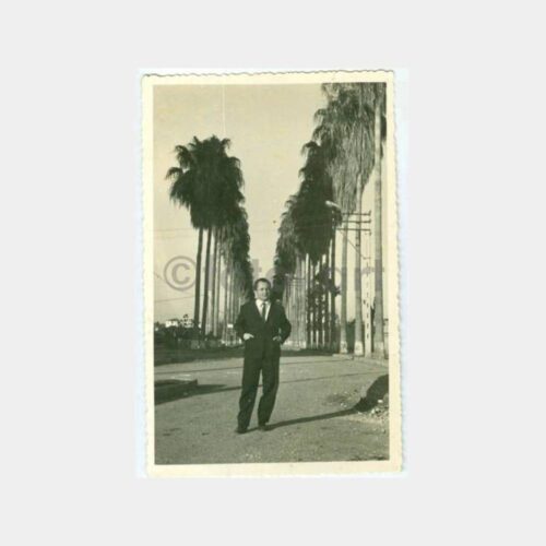 1950 Mersin Park Cadde - Bay Görünüş Fotoğraf