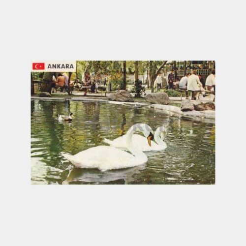 1981 Ankara Kuğulu Park Görünüş Kartpostal