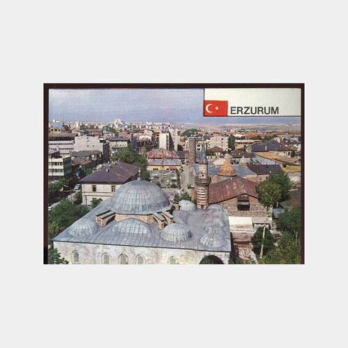 Erzurum Genel Görünüş Kartpostal