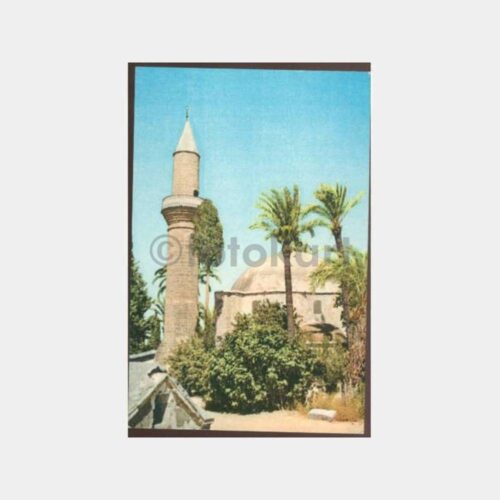 1970 Kıbrıs Larnaka Hala Sultan Camii Kartpostal