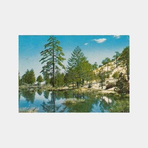 1970 Kıbrıs Trodos Dağları Konulu Kartpostal