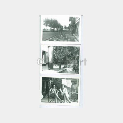 1950 Tarihi Ev Bahçesi Kadın 3 Adet Albüm Fotoğraf