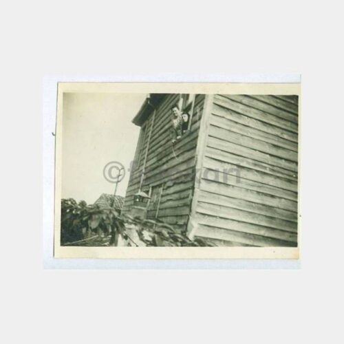 1930 Tarihi Ev Konulu Albüm Fotoğraf
