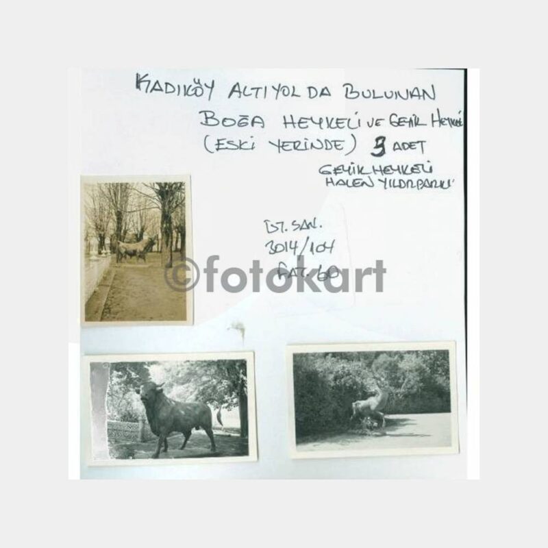 1940 Süleymaniye Tarihi Evler 15 Adet Fotoğraf