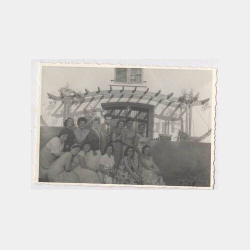 1958 Tarihi Ev Bahçesinde Piknik 3 Adet Fotoğraf