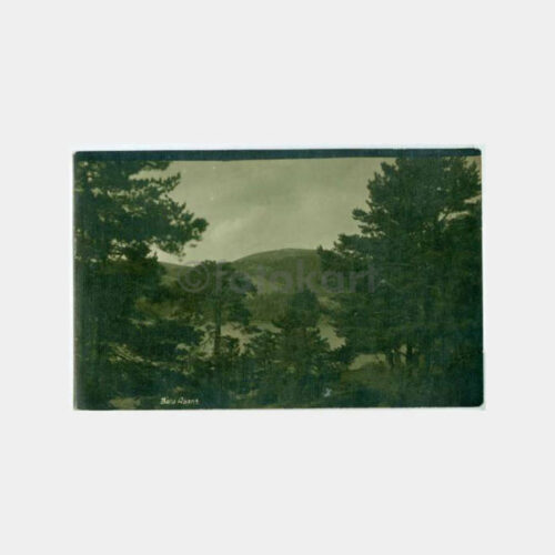 1950 Abant Gölü Görünüş Fotoğraf