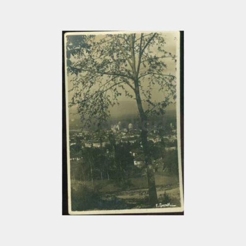 1930 Bursa Yeşil Genel Görünüş Kartpostal