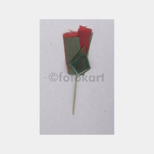 Bursa Erkek Lisesi Konulu Rozet