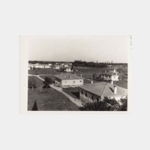 1950 Konya Harası Görünüş Fotoğraf