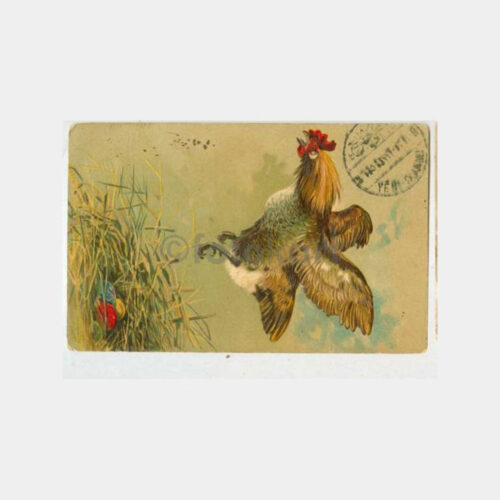 1913 Yenicami Posta Damgalı Horoz Konulu Kartpostal