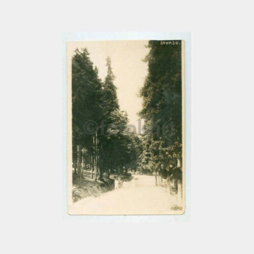 1930 Trabzon Soğuksu Yolu Fotoğraf