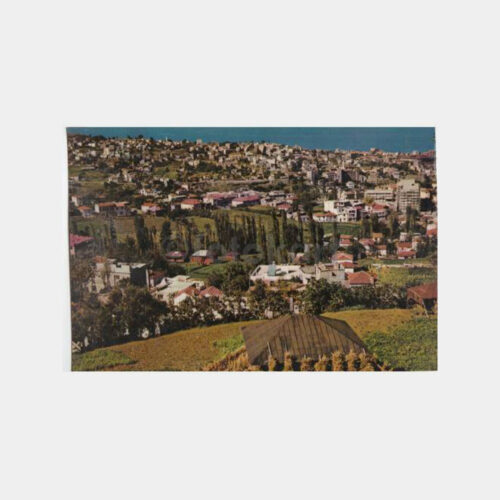 1971 Trabzon Genel Görünüş Kartpostal