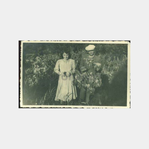 1940 Fındık Bahçesinde Aile Görünüş Fotoğraf