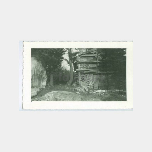 1950 Anadolu Orman Evi ve Kadın Fotoğraf