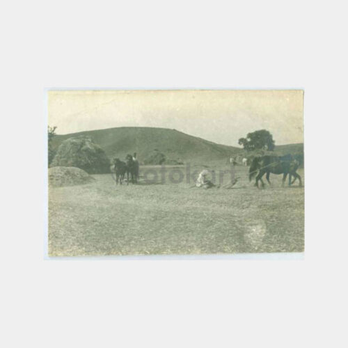 1928 Anadolu Çiftlik Yaşamı Görünüş Fotoğraf