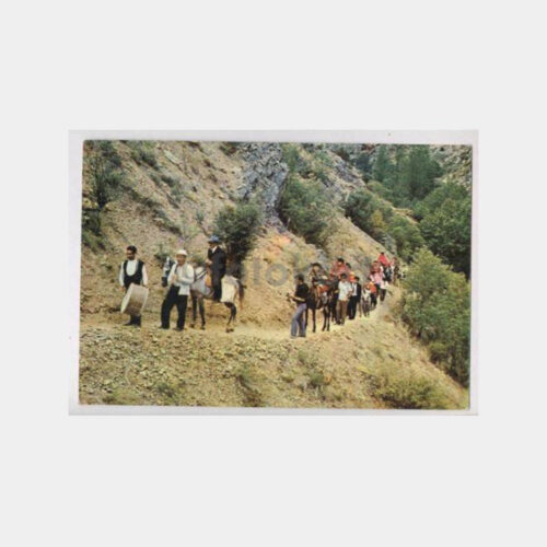 Anadolu Düğün Alayı Görünüş Kartpostal