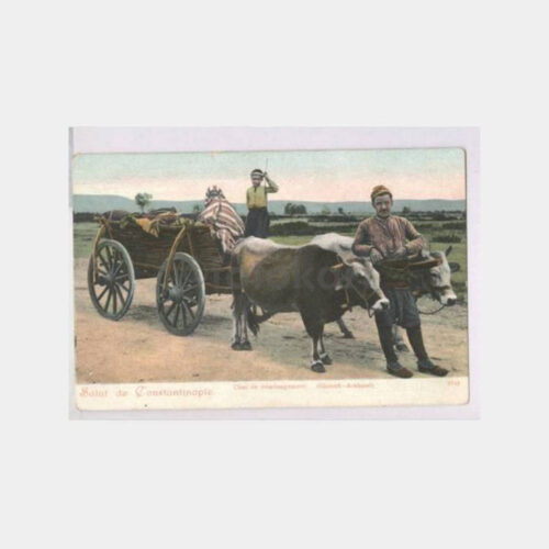 Anadolu Göç Kağnısı-Arabası Konulu Kartpostal