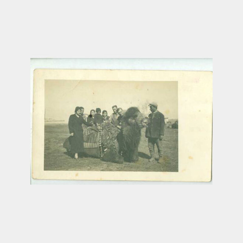 1930 Deve Önünde Bir Grup Görünüş Fotoğraf