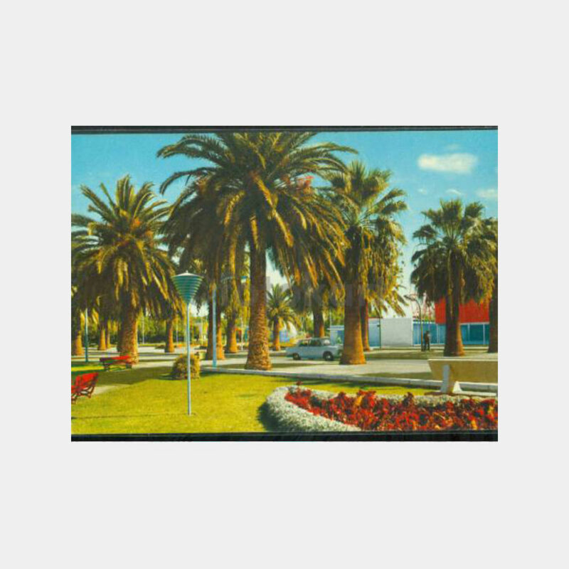 1975 İzmir Fuarı - Palmiyeler Görünüş Kartpostal